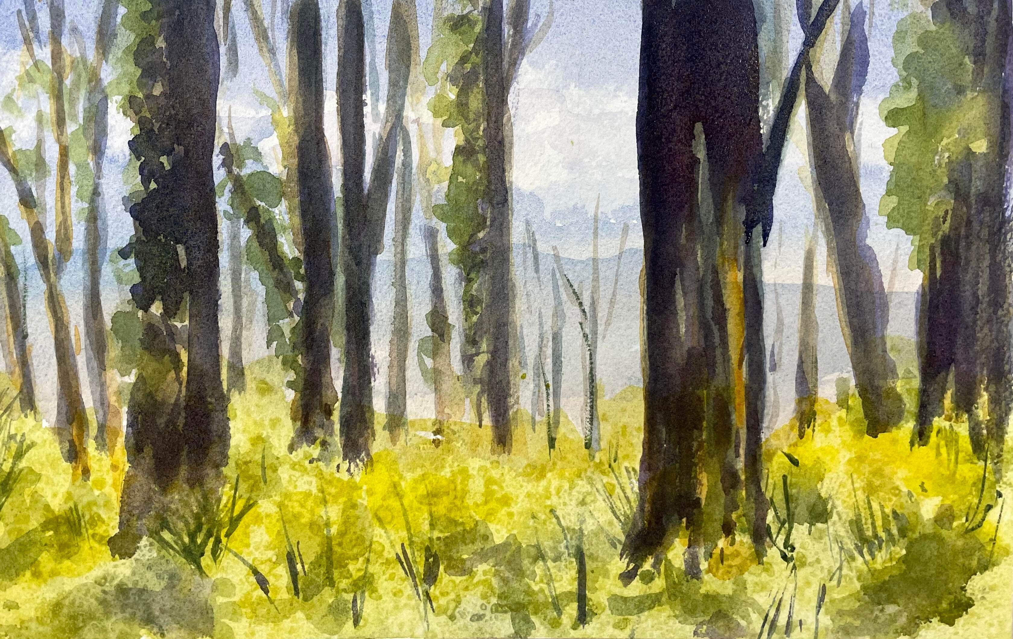 Landscapes WC #2